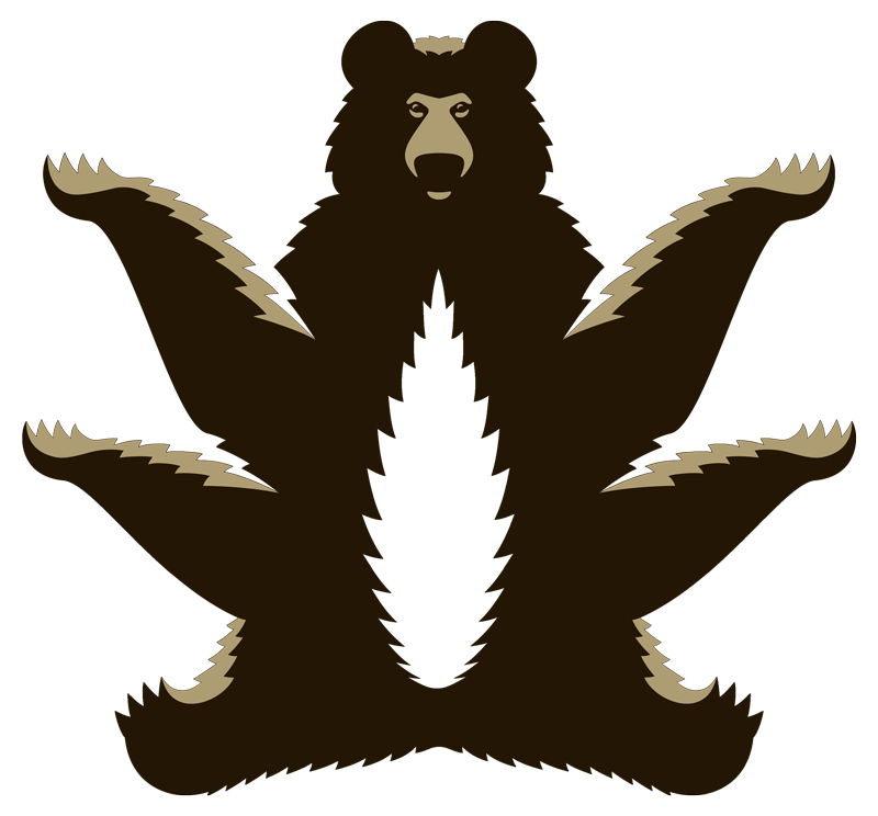 Cirrus the Bear Mascot Image